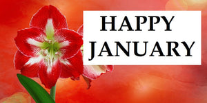 Happy Month of January to You!