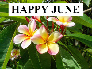 Happy Month of June to You!