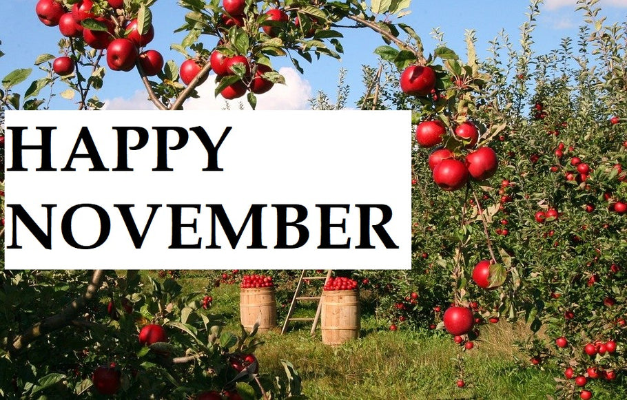 Happy Month of November to You!