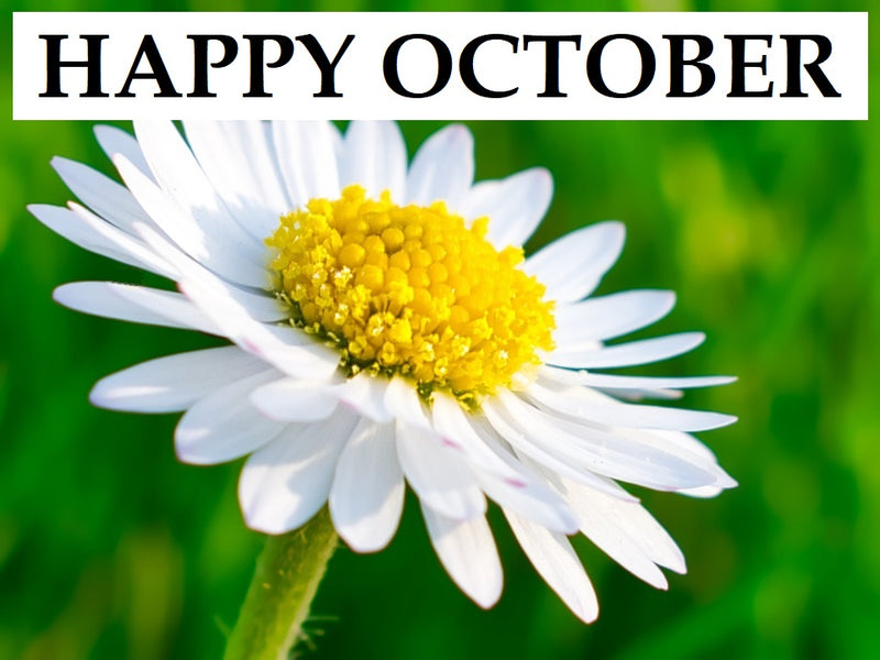 Happy Month of October to You!