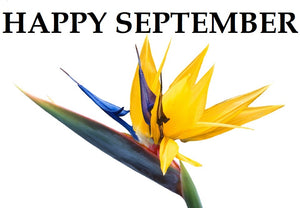 Happy Month of September to You!