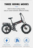 RANDRIDE Electric Bicycle 1000W 48V 17AH 20" Black & Red Smart Folding Electric Mountain Bike