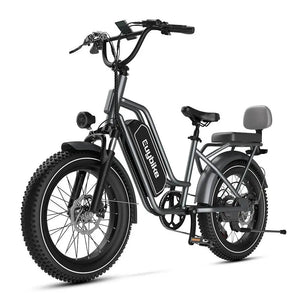 EUYBIKE 1000W Dual Motor 48V20AH 20" Smart EBike Classic Black City Cruiser & Mountain Snow Electric Bike