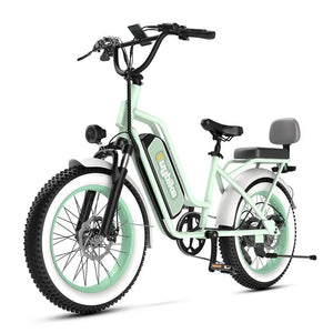 EUYBIKE 1000W Dual Motor 48V20AH 20" Smart EBike Black & Mint Green City Cruiser & Mountain Snow Electric Bike