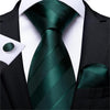 DBG VIP Design Collection Men's Fashion Deep Emerald Green Plaid Design 100% Premium Quality Silk Ties - Divine Inspiration Styles