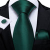 DBG VIP Design Collection Men's Fashion Deep Emerald Green Plaid Design 100% Premium Quality Silk Ties - Divine Inspiration Styles